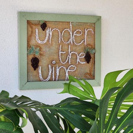 Ferienwohnung Under The Vine Garden House Platánion Exterior foto